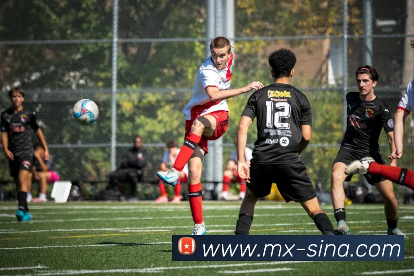 App Interface Preview