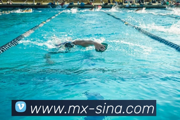 新浪世界杯APP 封面图